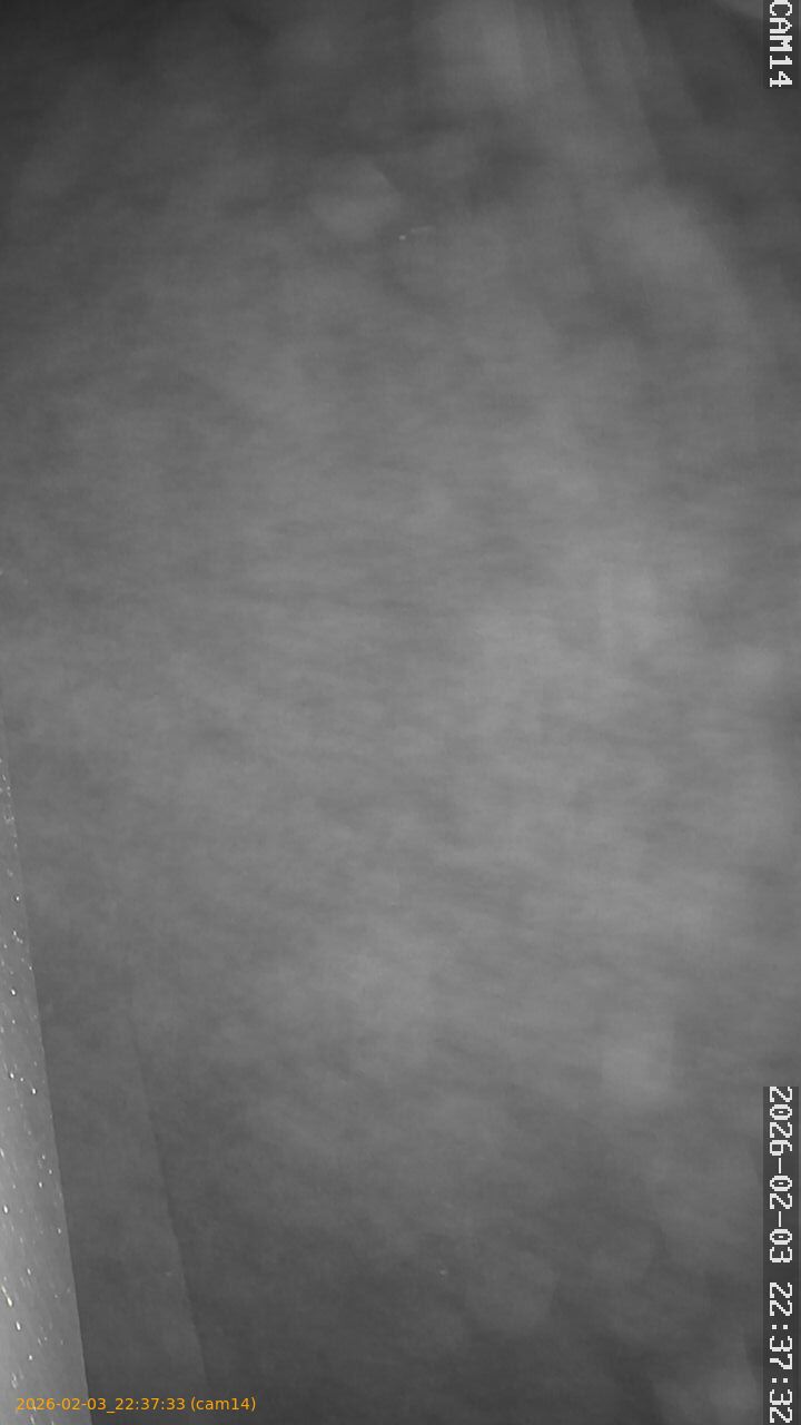 thumbnail_20260203223733