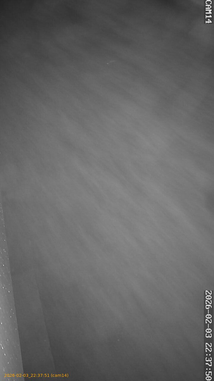 thumbnail_20260203223751