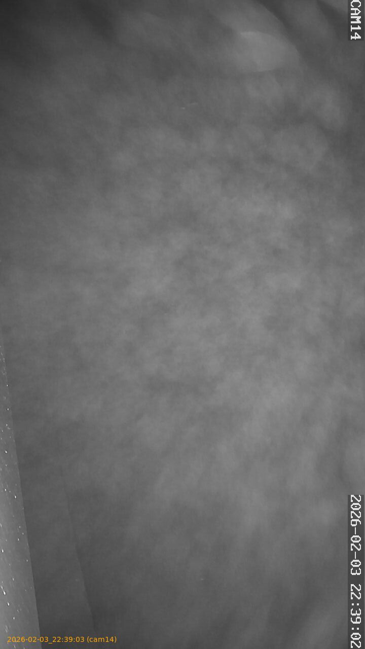 thumbnail_20260203223903