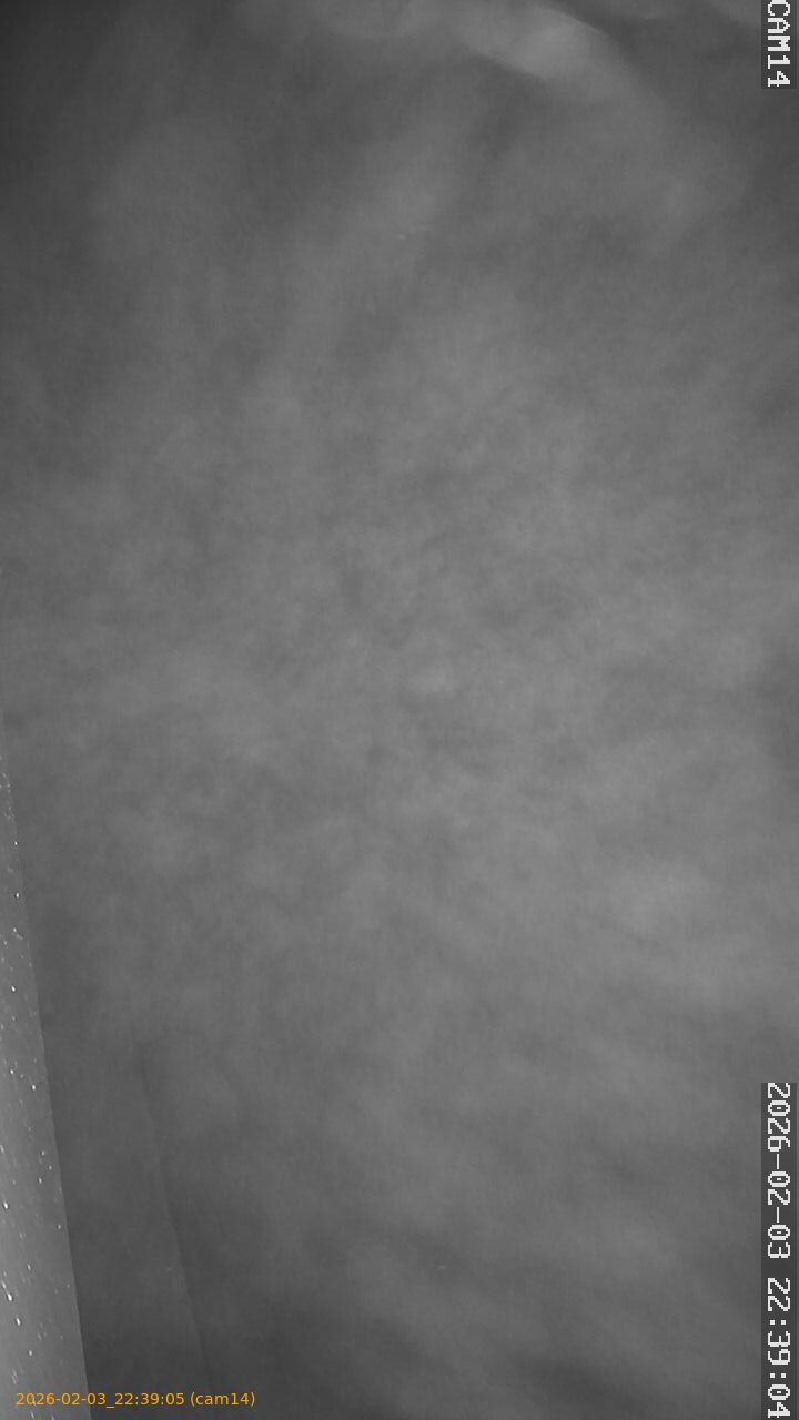 thumbnail_20260203223905