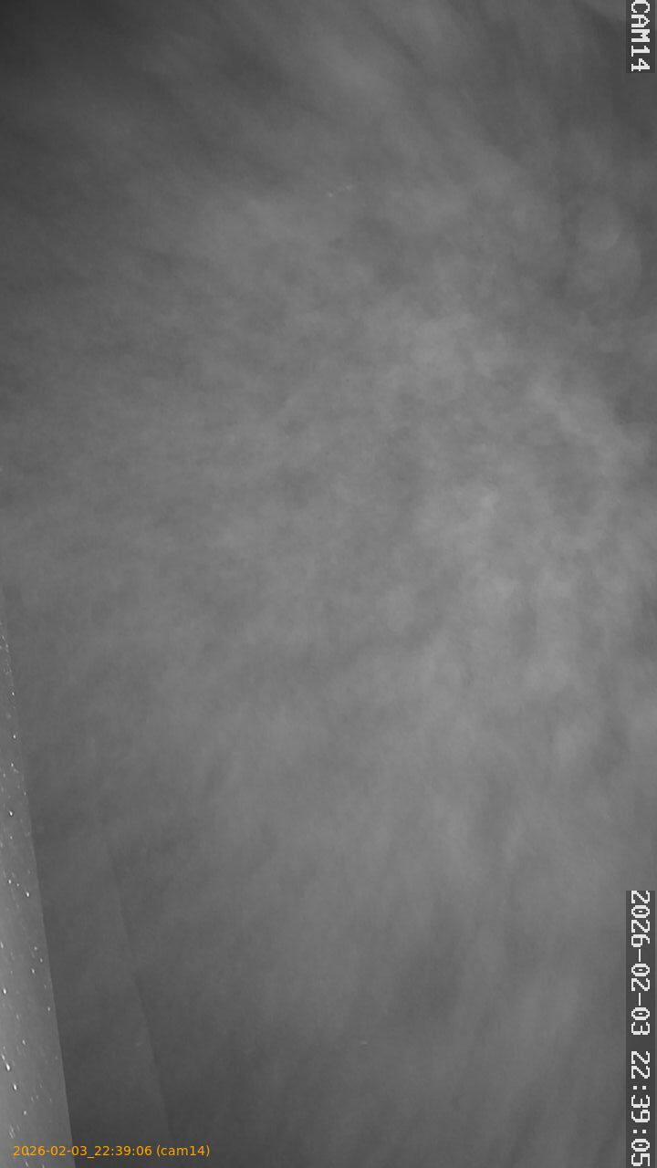 thumbnail_20260203223906