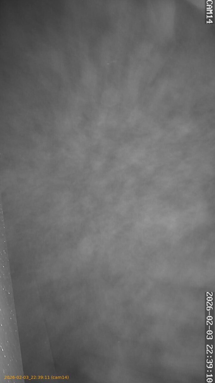 thumbnail_20260203223911