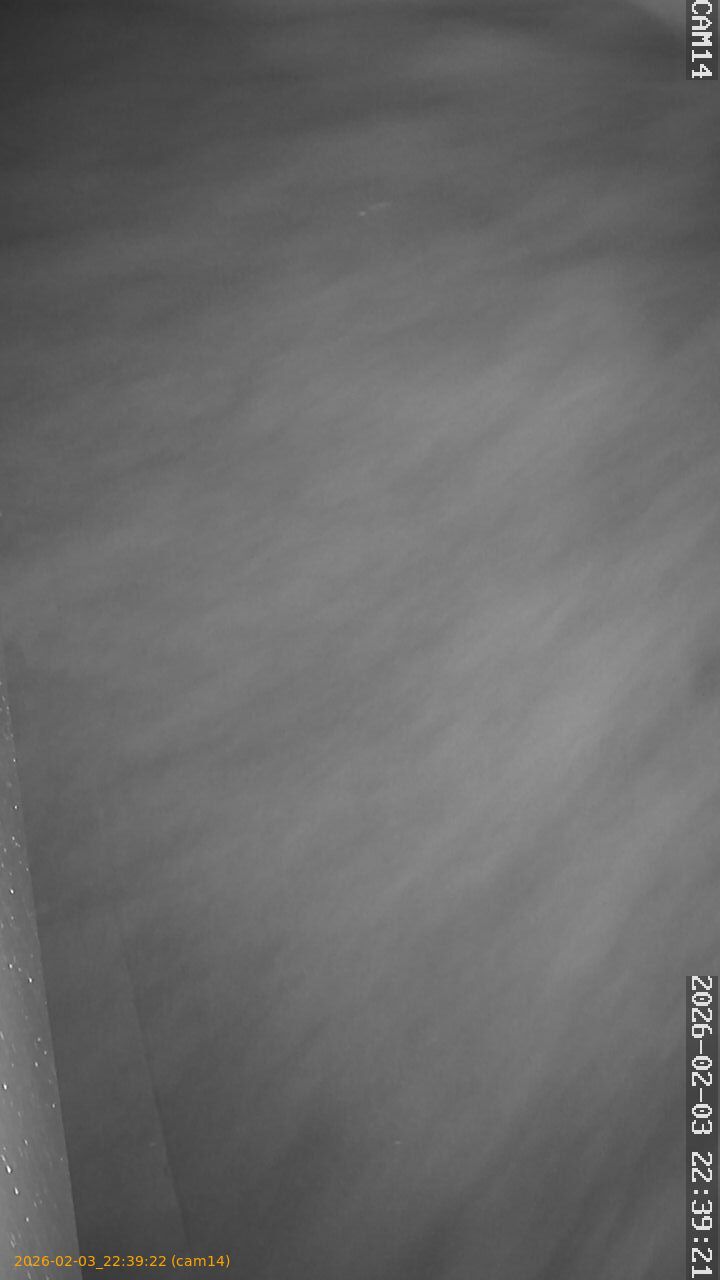 thumbnail_20260203223922