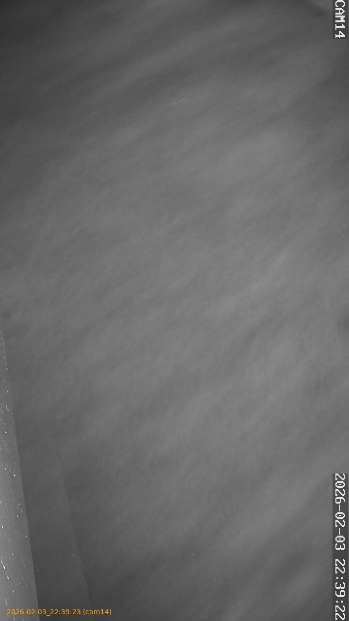 thumbnail_20260203223923