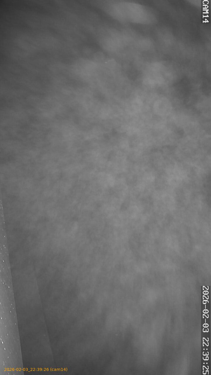 thumbnail_20260203223926