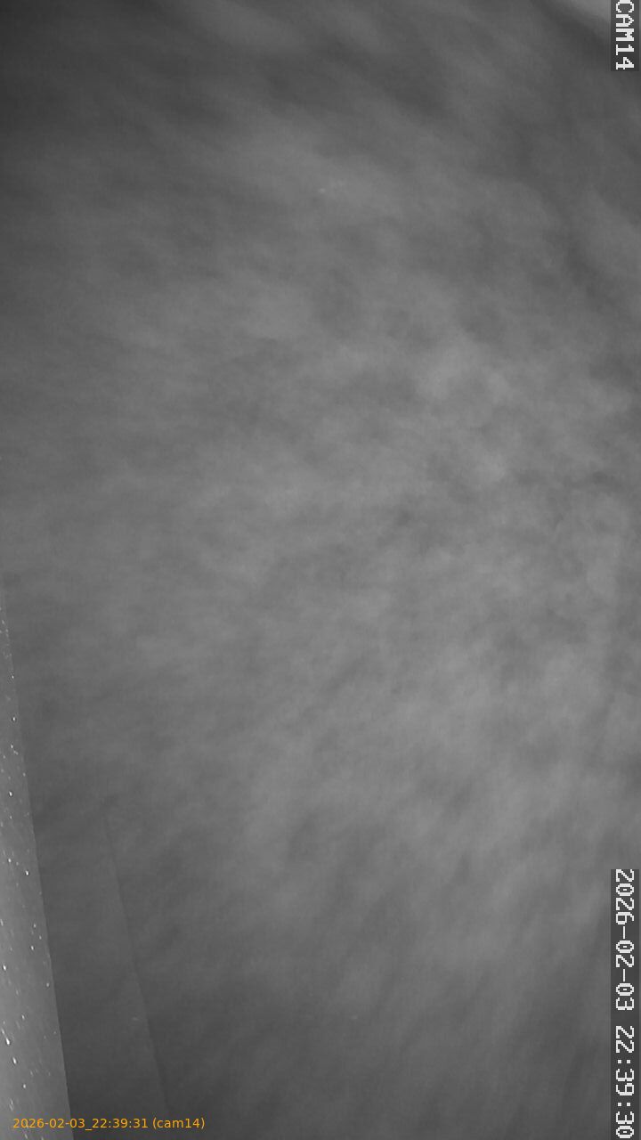 thumbnail_20260203223931