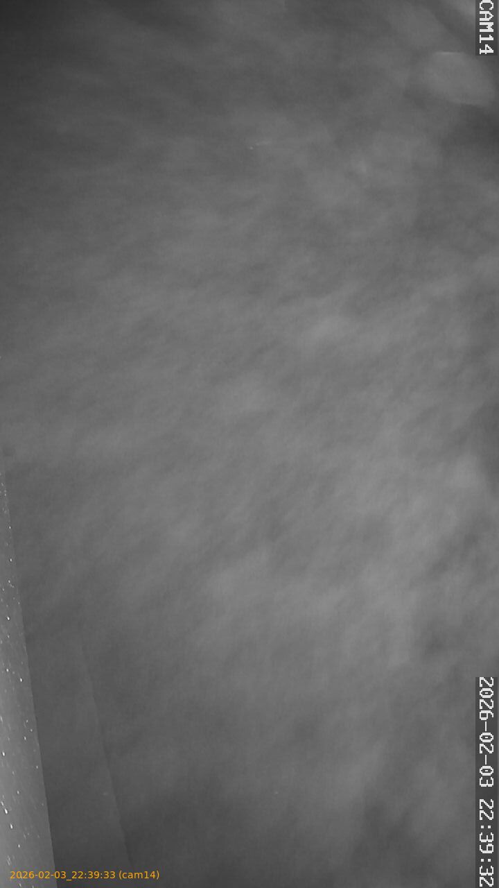 thumbnail_20260203223933