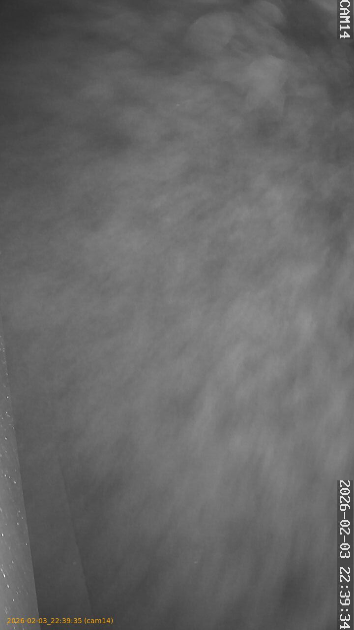 thumbnail_20260203223935