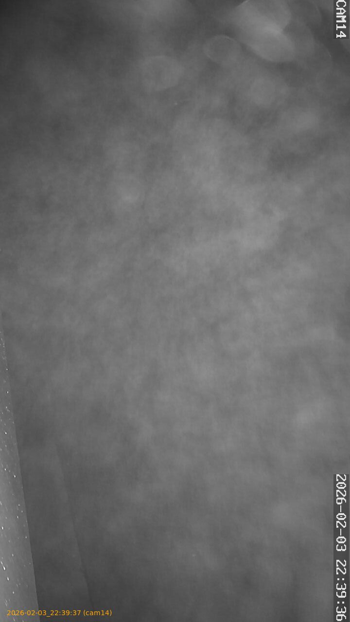 thumbnail_20260203223937