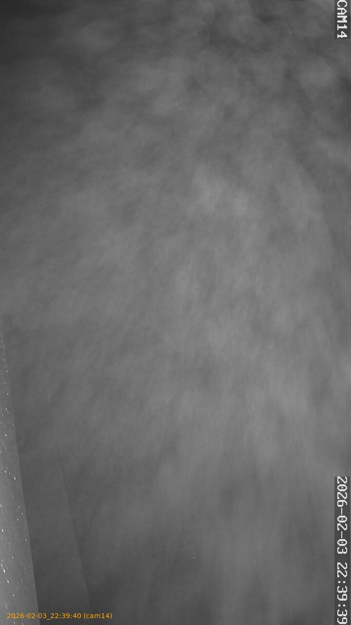 thumbnail_20260203223940