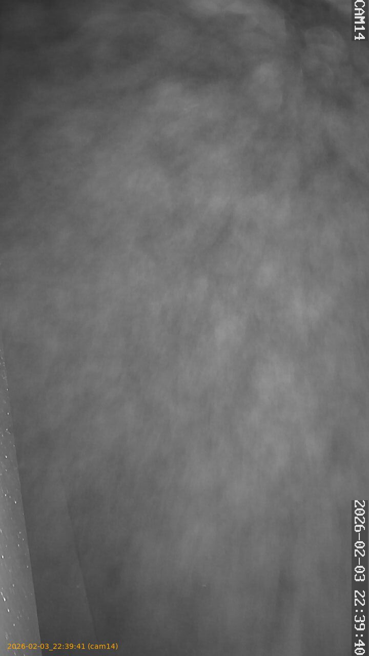 thumbnail_20260203223941