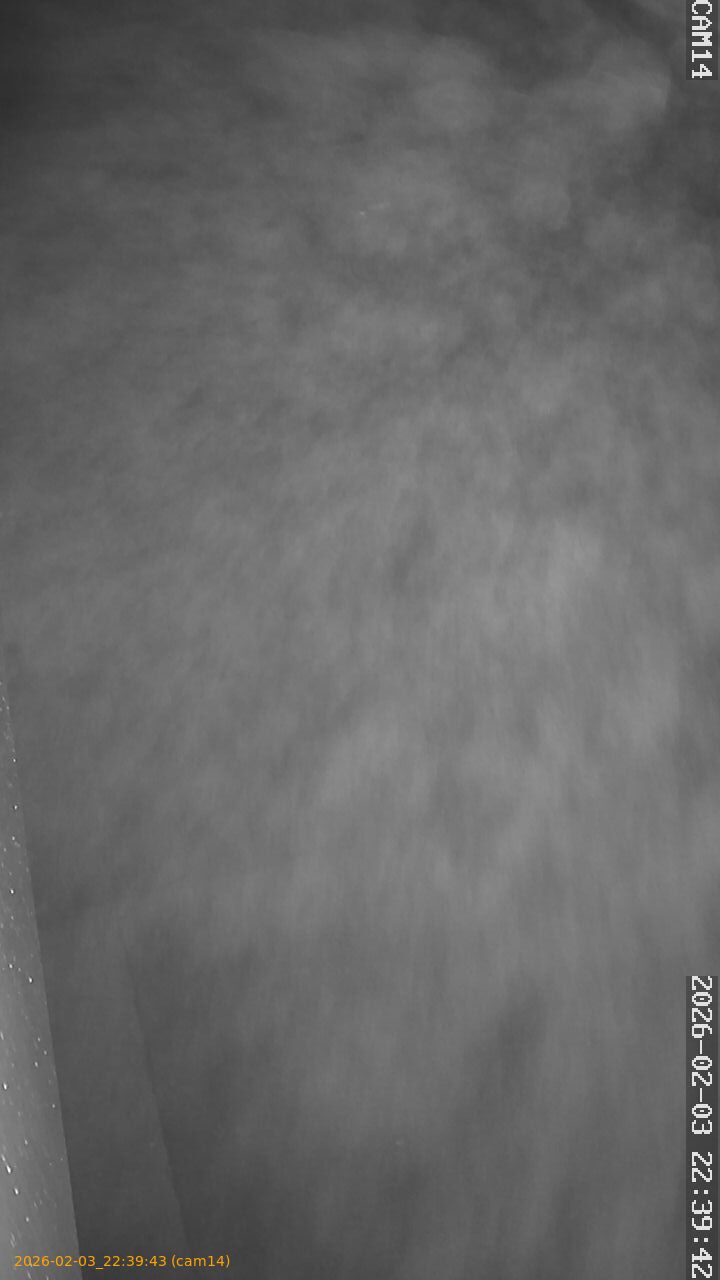 thumbnail_20260203223943