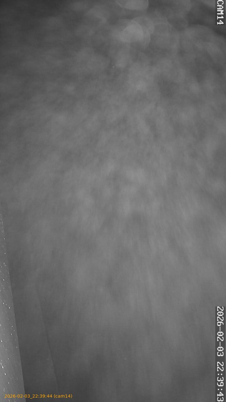 thumbnail_20260203223944