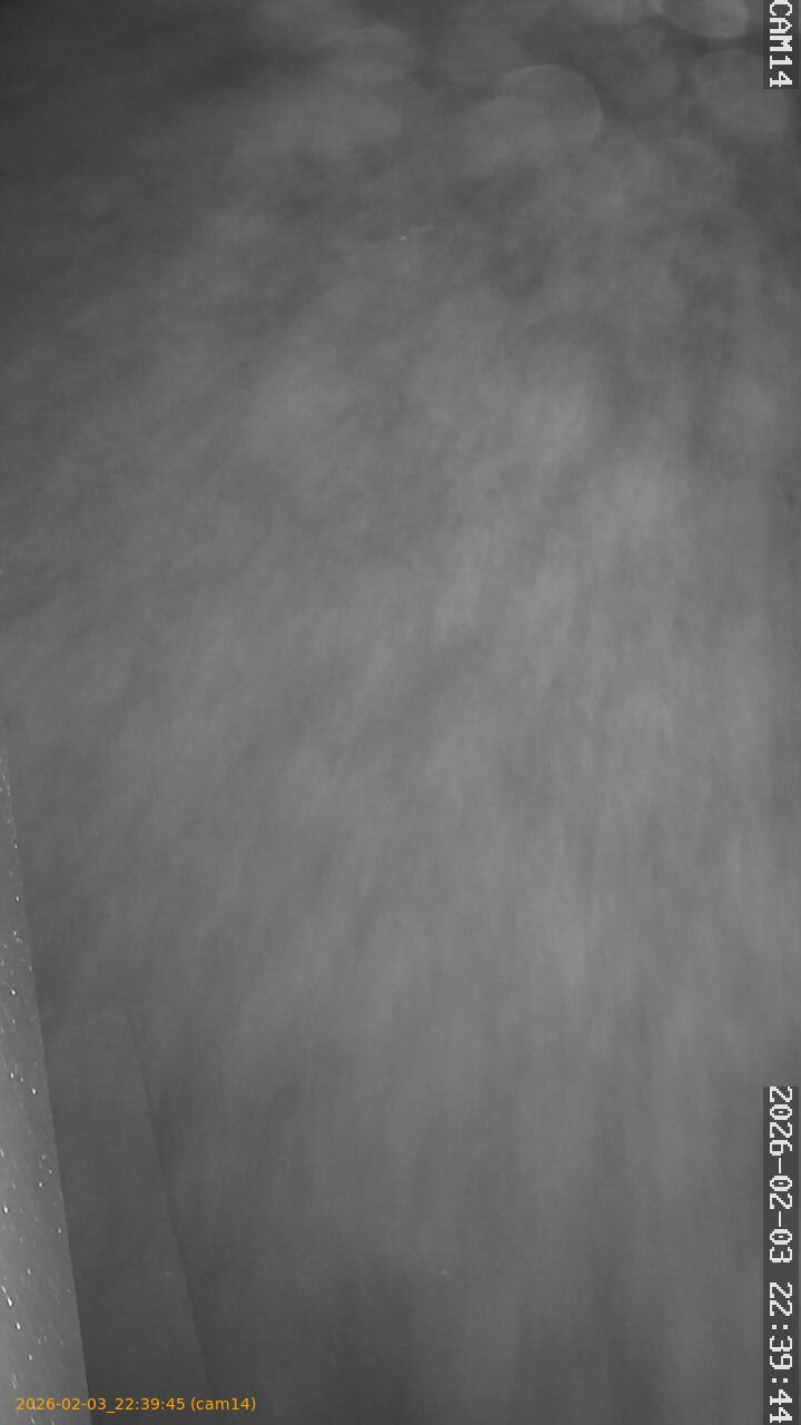 thumbnail_20260203223945