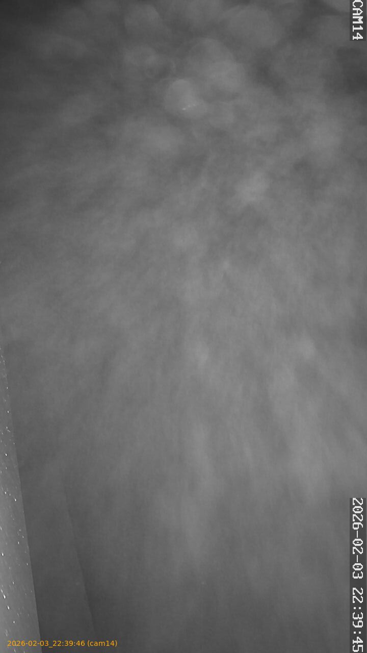 thumbnail_20260203223946