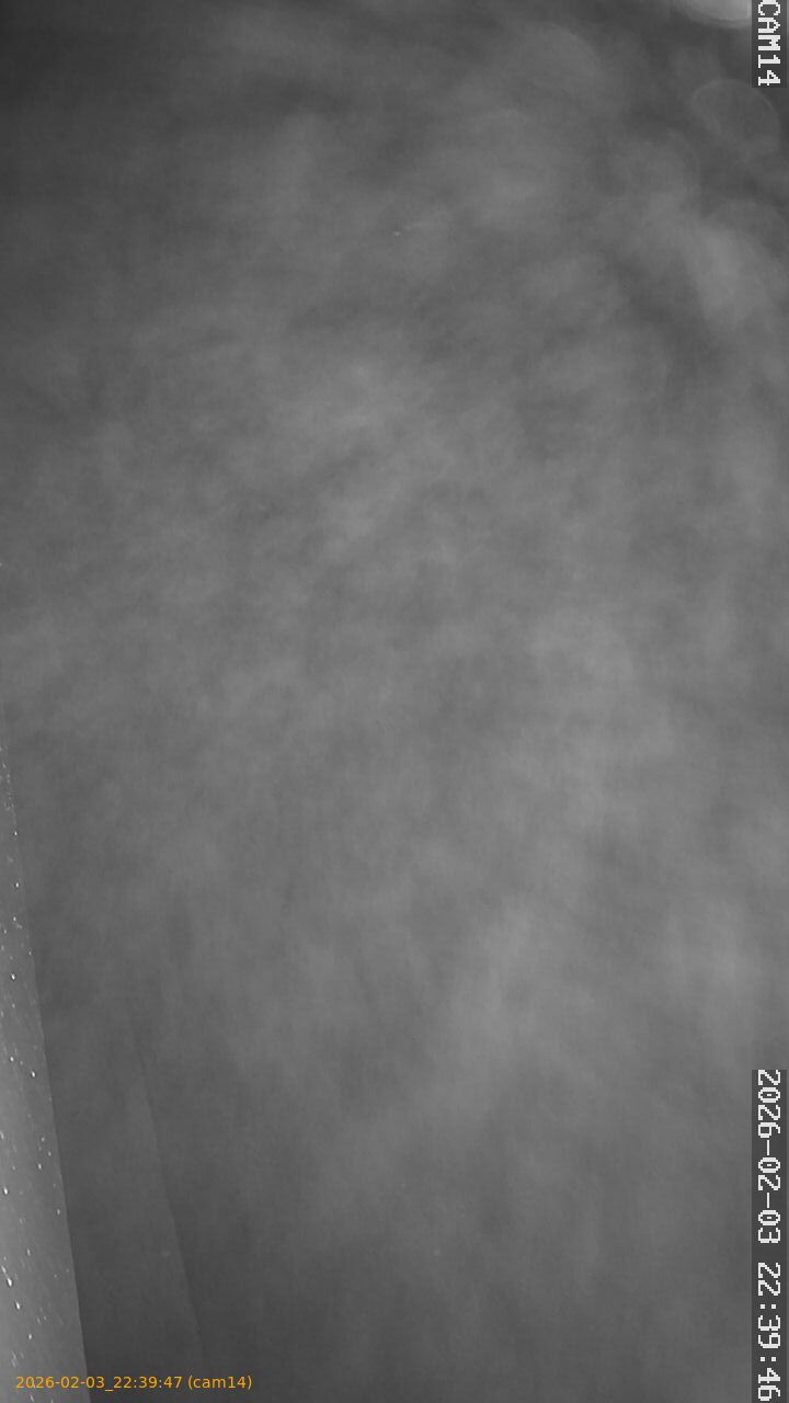 thumbnail_20260203223947