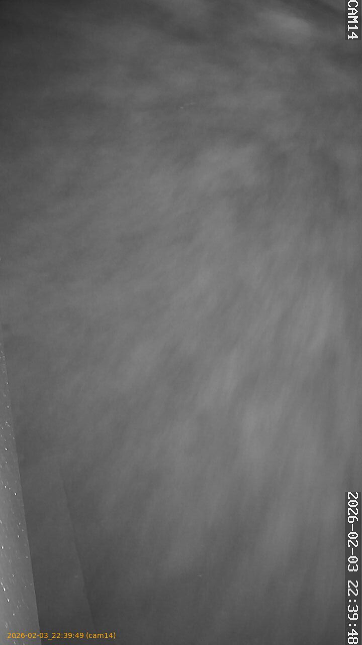 thumbnail_20260203223949