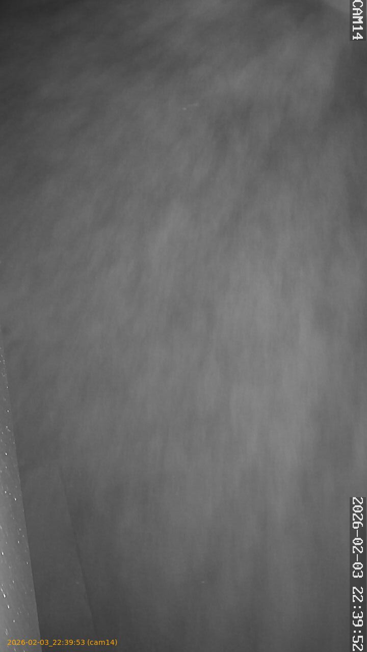 thumbnail_20260203223953