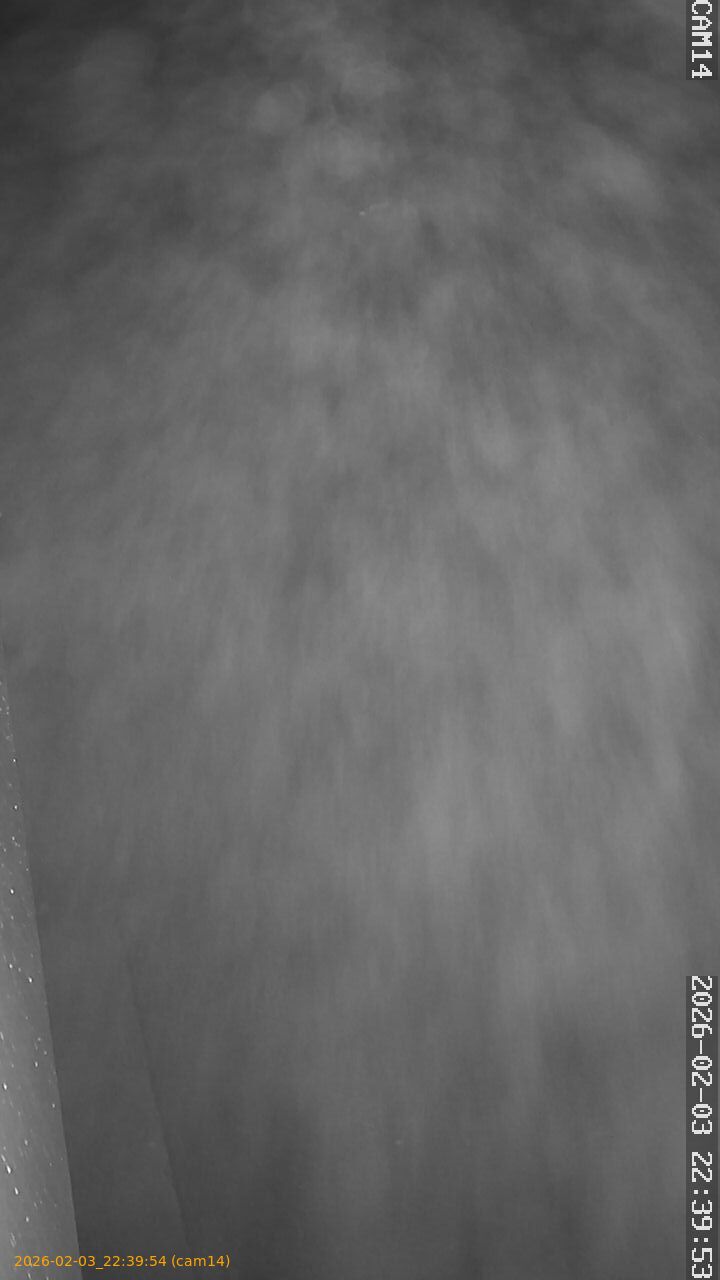 thumbnail_20260203223954