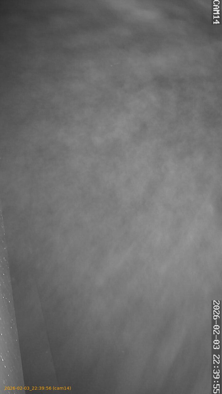 thumbnail_20260203223956