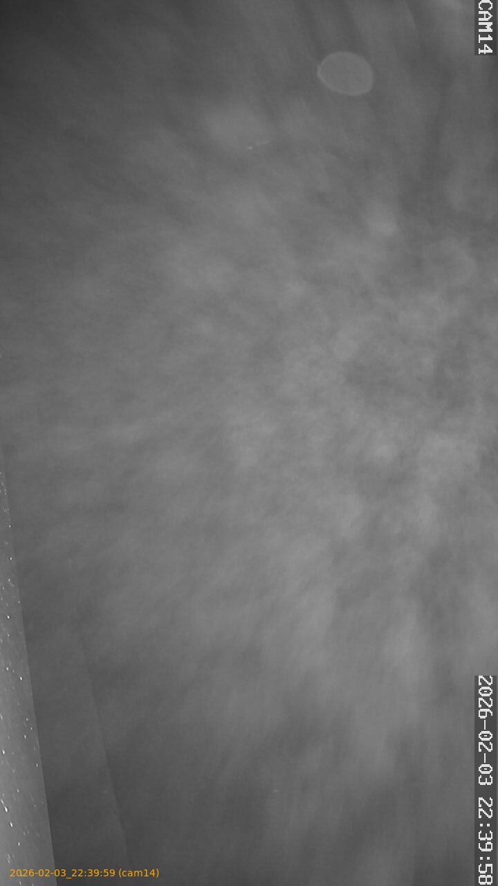 thumbnail_20260203223959