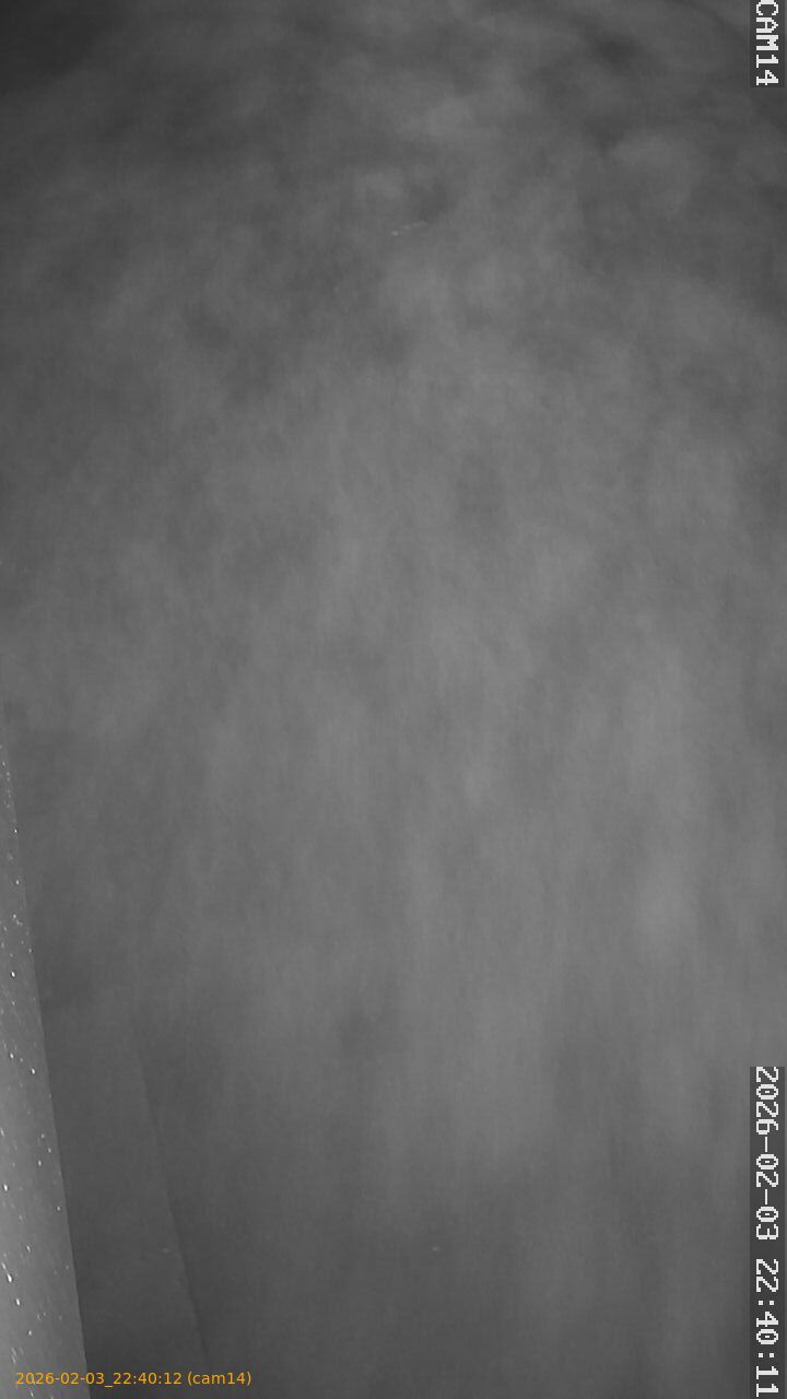 thumbnail_20260203224012