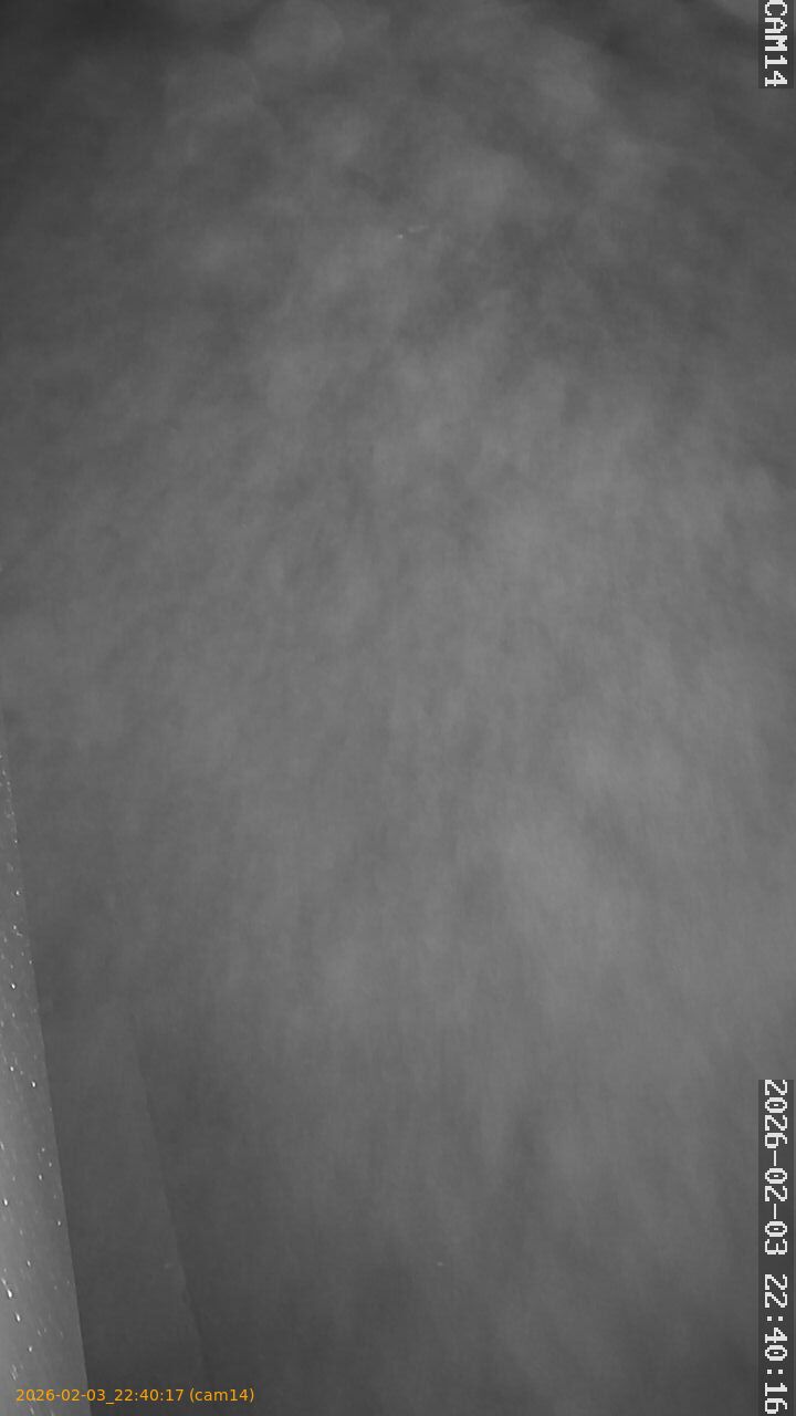 thumbnail_20260203224017