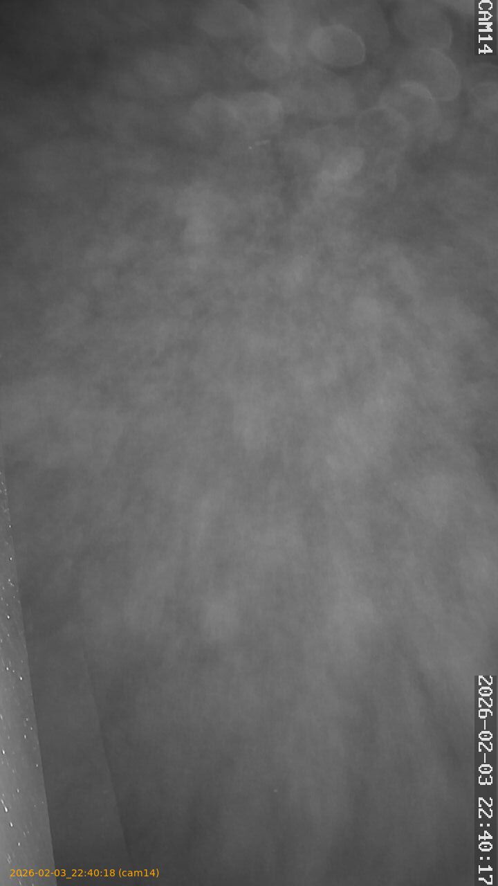 thumbnail_20260203224018