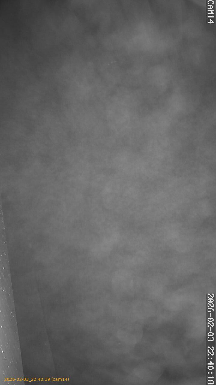 thumbnail_20260203224019