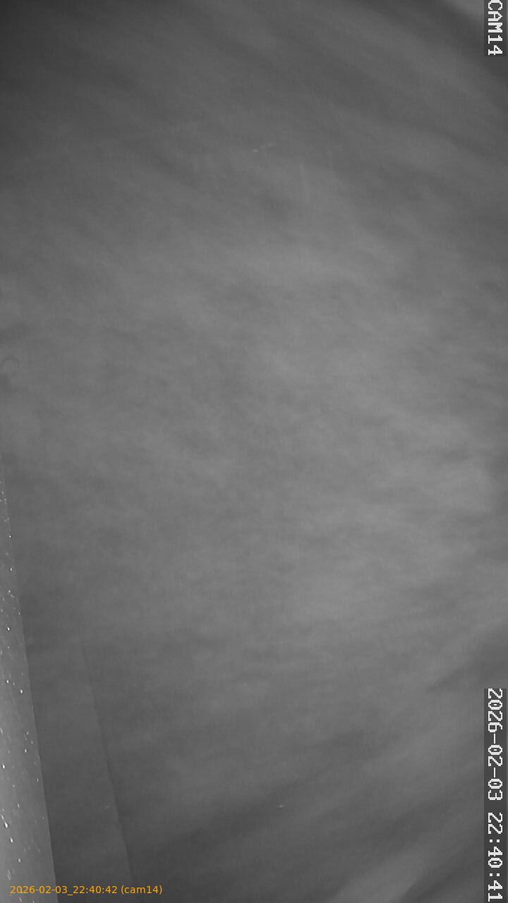 thumbnail_20260203224042