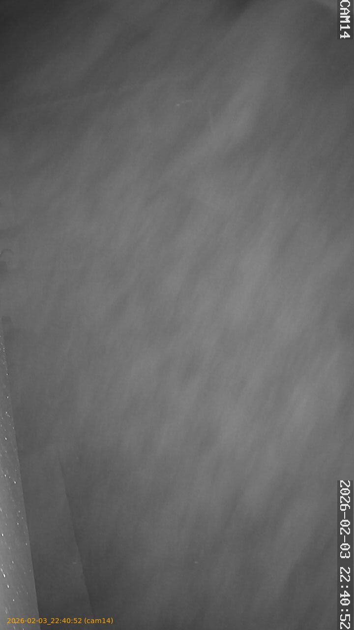 thumbnail_20260203224052