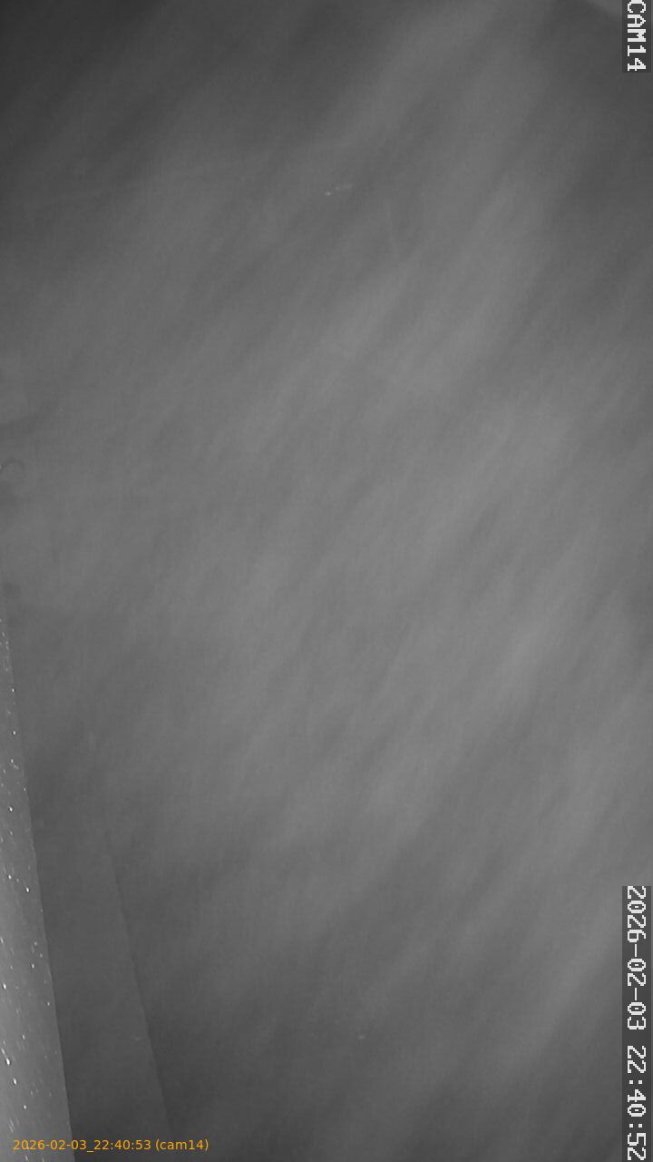 thumbnail_20260203224053