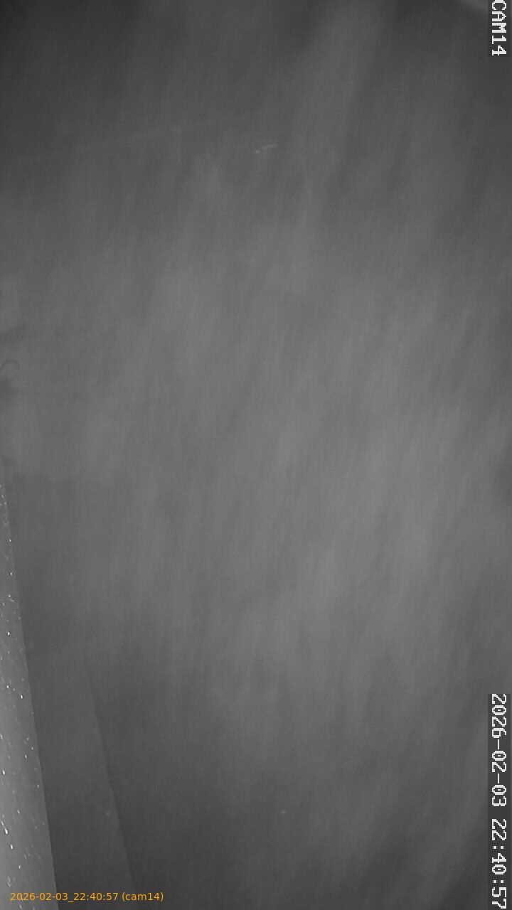 thumbnail_20260203224057