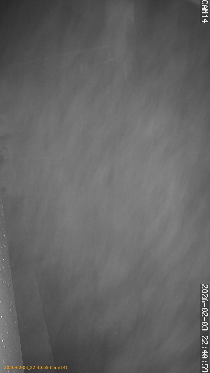 thumbnail_20260203224059