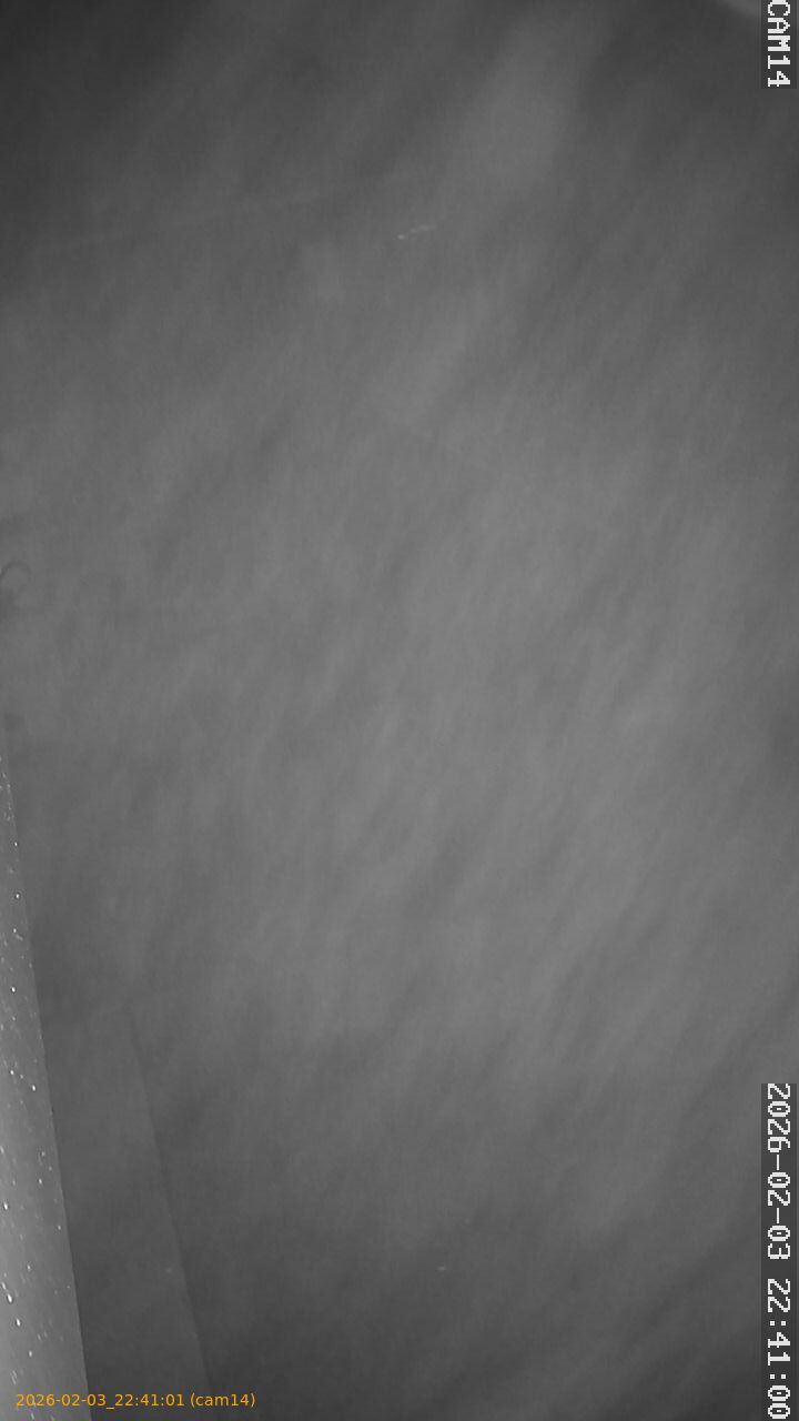 thumbnail_20260203224101