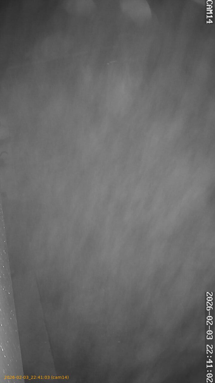 thumbnail_20260203224103