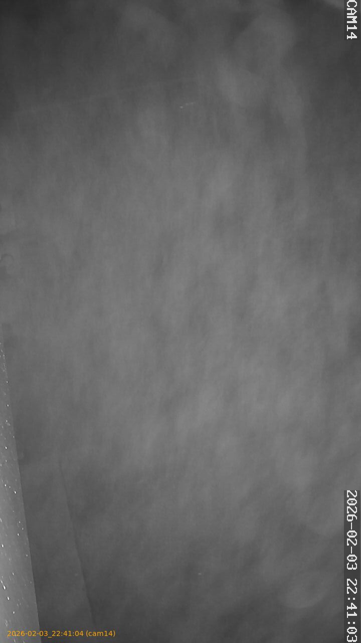 thumbnail_20260203224104