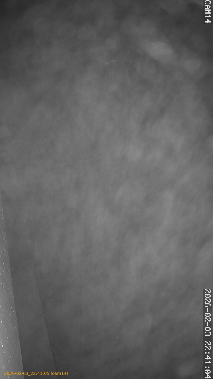 thumbnail_20260203224105