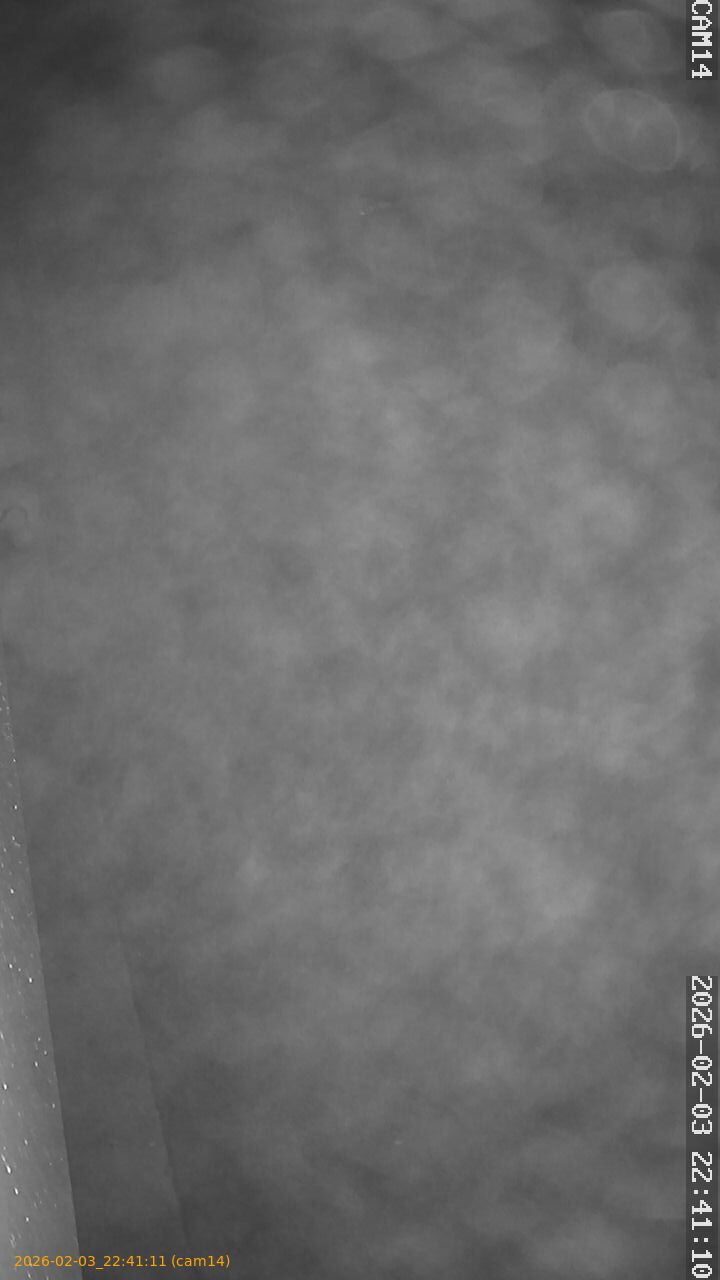 thumbnail_20260203224111