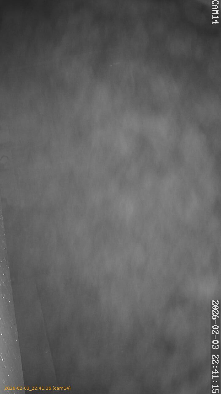 thumbnail_20260203224116