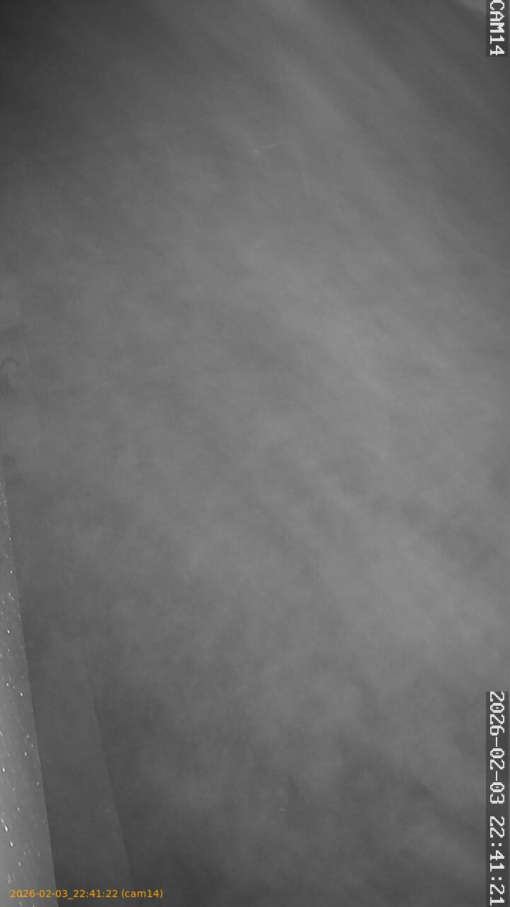 thumbnail_20260203224122