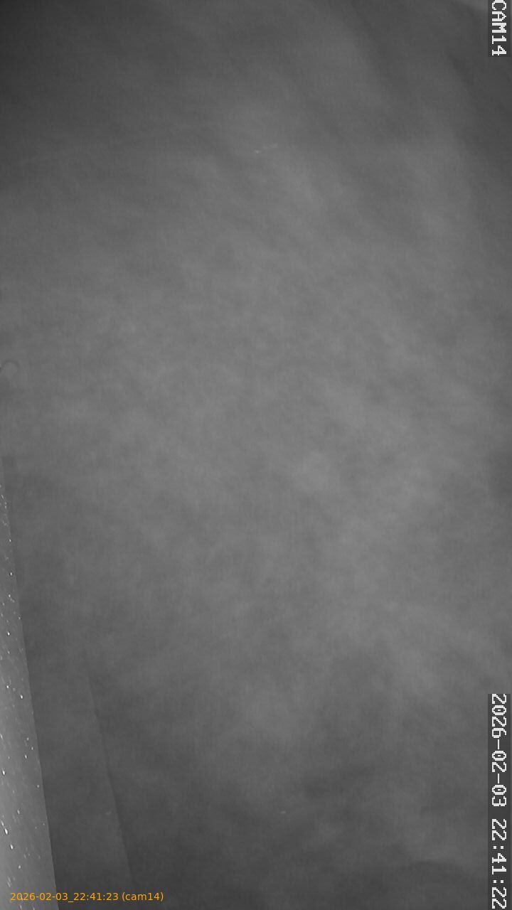 thumbnail_20260203224123