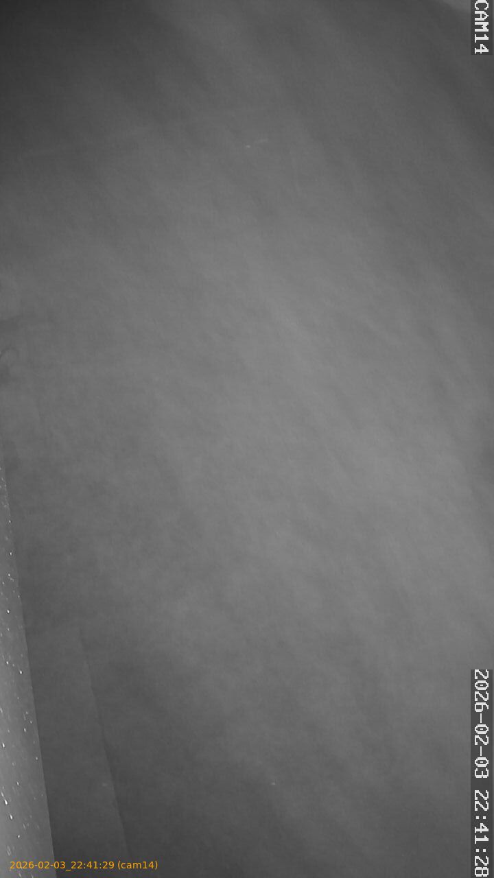 thumbnail_20260203224129