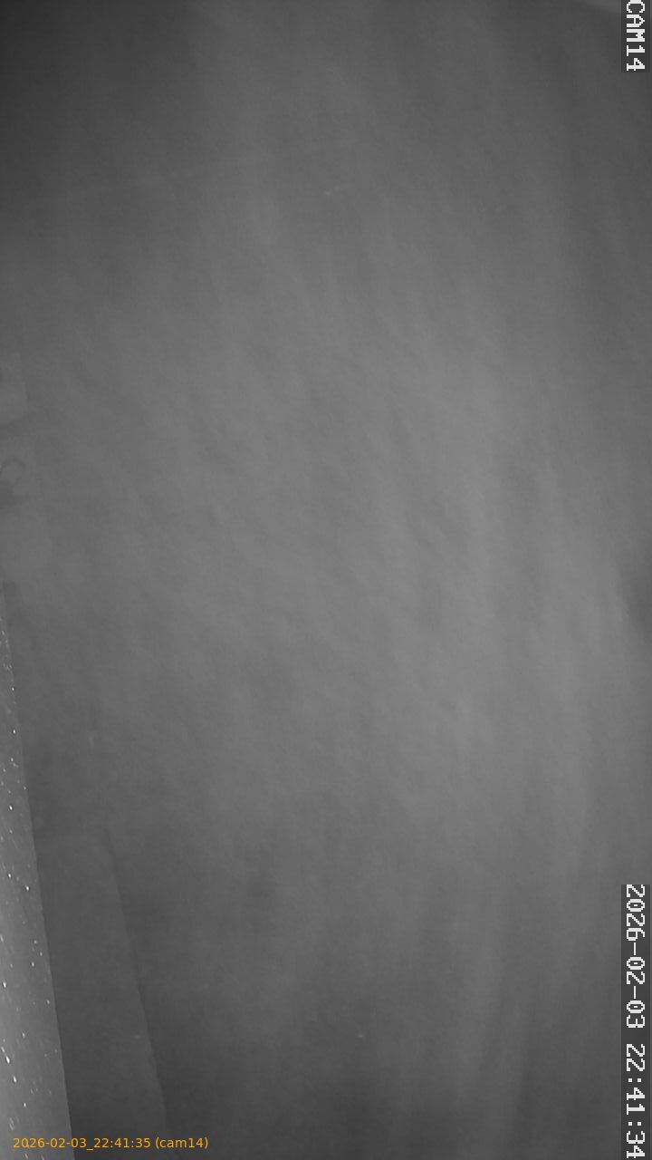 thumbnail_20260203224135