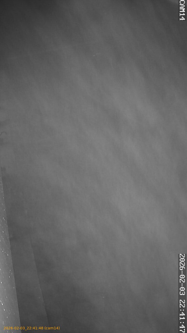 thumbnail_20260203224148