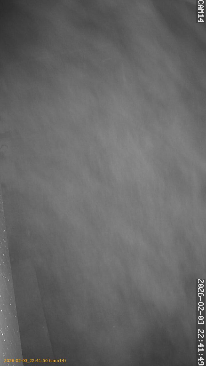 thumbnail_20260203224150