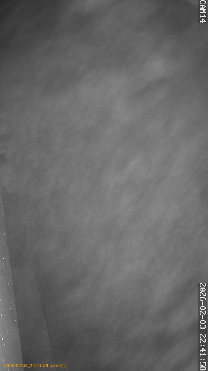 thumbnail_20260203224159