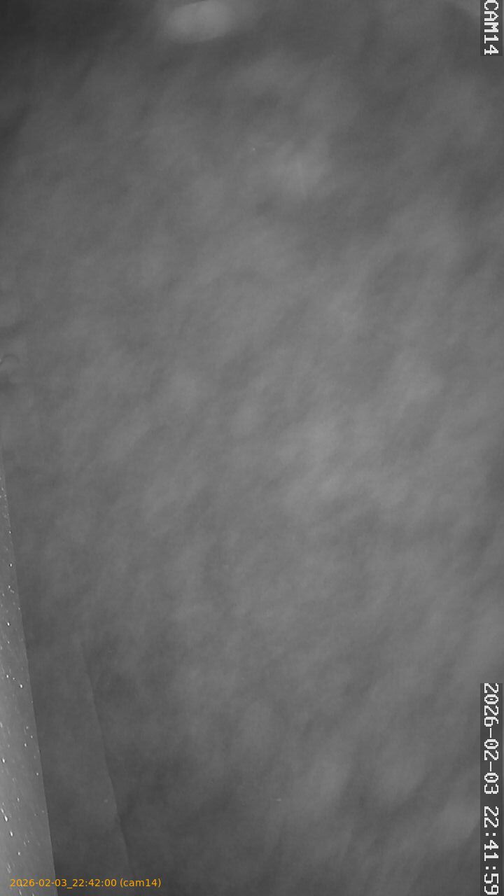 thumbnail_20260203224200