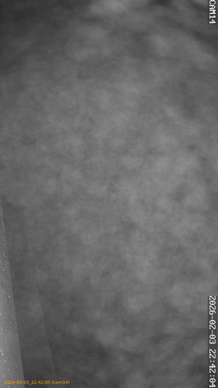 thumbnail_20260203224205