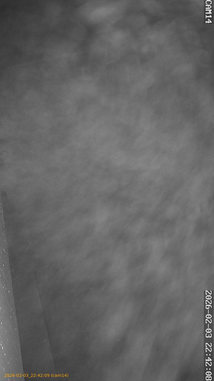 thumbnail_20260203224209